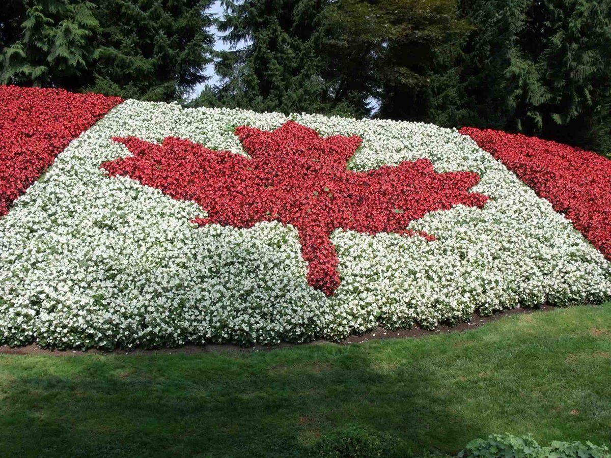 Just a reminder we are open until 6pm today! Happy Canada day everyone!! 🇨🇦