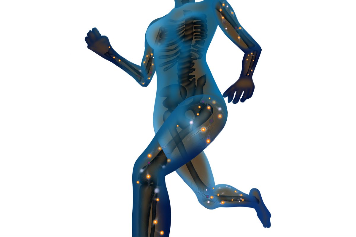 jang74332889's tweet image. ✅#Chloride: Kusaidia kudumisha usawa wa maji mwilini, kusaidia utengenezaji wa asidi ya tumbo

✅#Phosphorus : Kujenga na kuimarisha mifupa na meno, kusaidia utengenezaji wa nishati mwilini

✅#Bicarbonate: usaidia usawa wa asidi na alkali mwilini, na kusawazisha pH ya damu