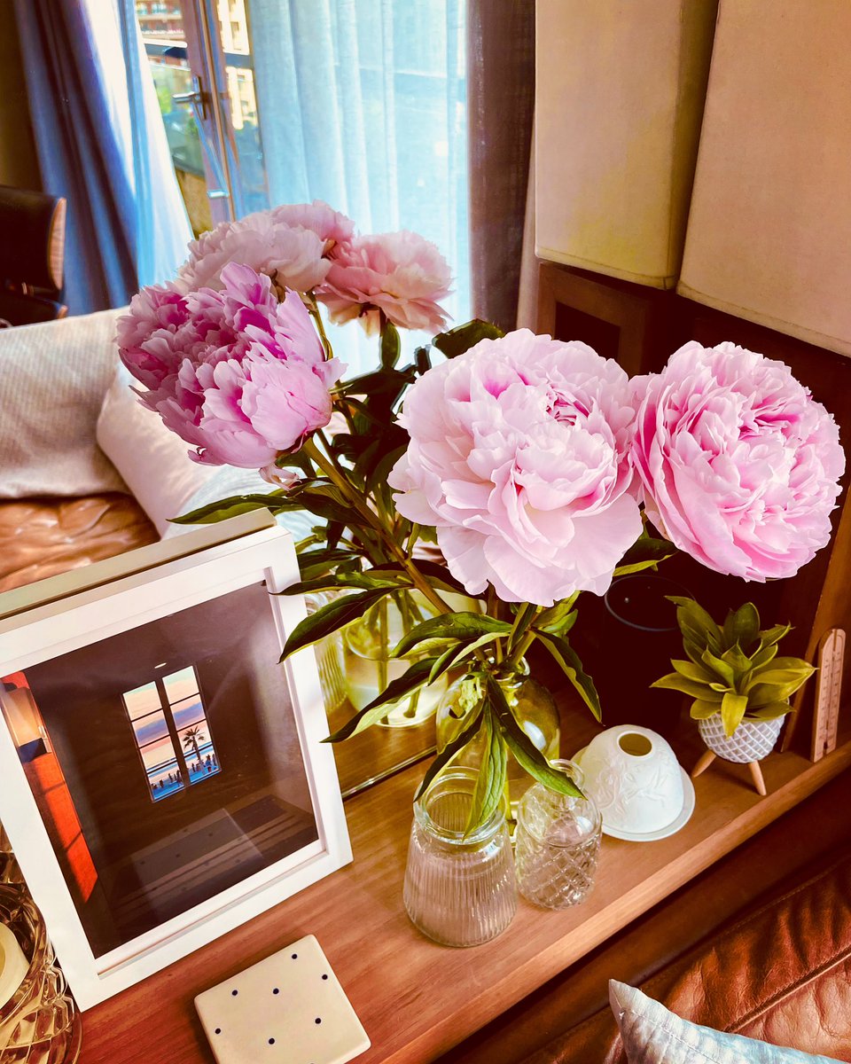 <a href="/DebHarkness/">Dr Deborah Harkness (PhD, LHD)</a> <a href="/FlipzSnackz/">Flipz🥨</a> Beautiful 💐 I bought a bunch of peonies 🌸