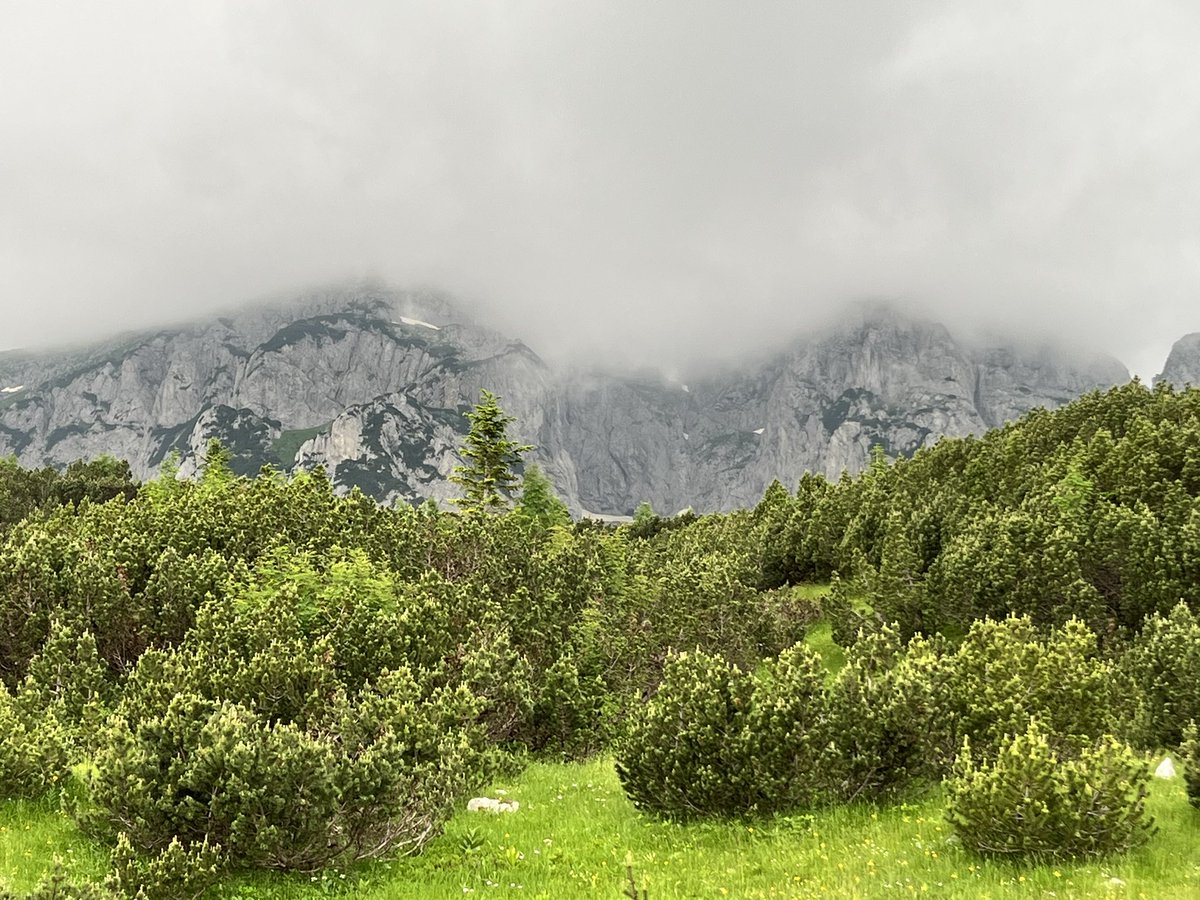 PeakBaggerQ's tweet image. Hello Bosnia &amp;amp; Herzegovina, 🇧🇦 We attempted your highpoint (Maglic), but lightening above your cables route stopped us. We will be back next year! Got a chance to tour a orthodox monastery that makes a fine wine (which we tasted and enjoyed) #PeakBagger
