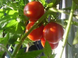 Arita... tweet media