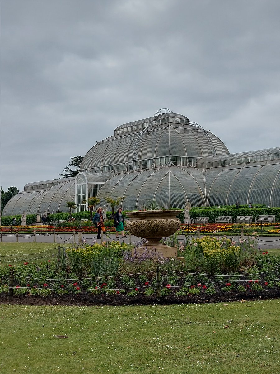 JMT_MHL's tweet photo. Exciting news! I spent an incredible month at @kewgardens working in the herbarium, collecting fruits from around the world. The opportunity to explore and learn about botanical diversity was truly amazing. 🌍✨ #KewGardens #BotanicalExploration #HerbariumLife #FruitCollection https://t.co/Pn62haGfVq