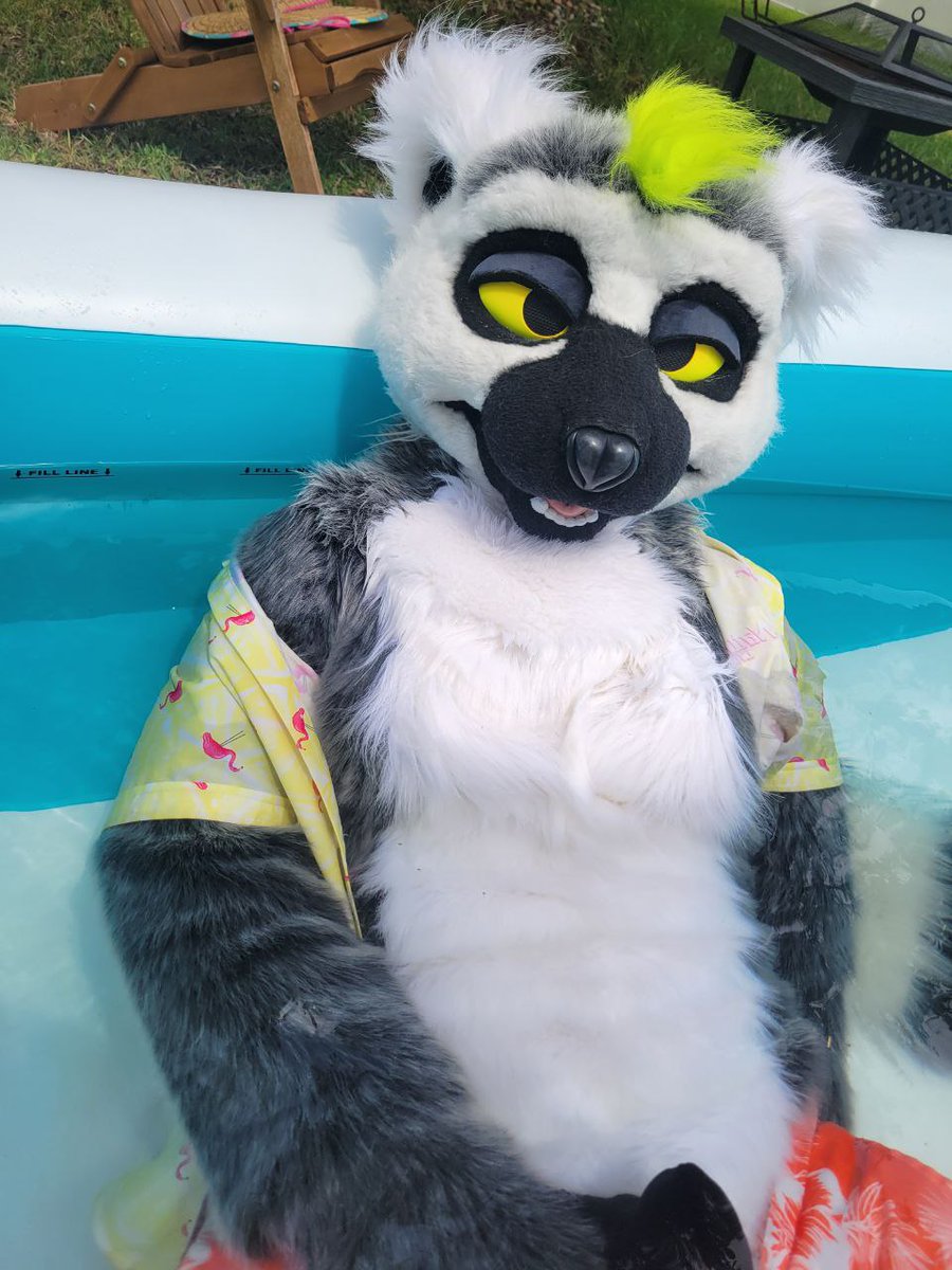 Mutt_Slut tweet picture