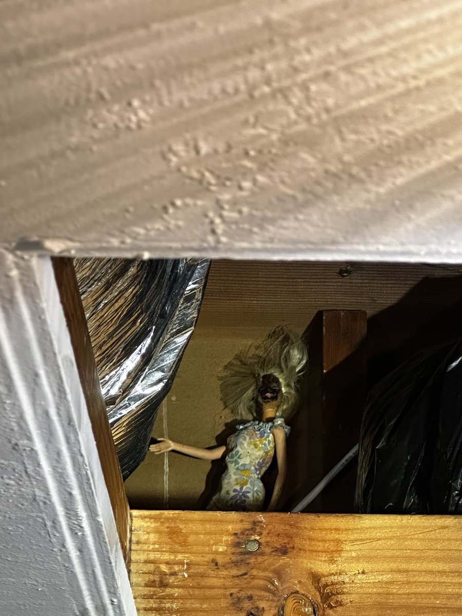 Um. We just found this Barbie in our attic. She was up against the water heater exhaust. She’s clearly a load bearing Barbie, so she’s going right back up so as to not release the curse she obviously contains (but in a less fire hazard-y spot.)