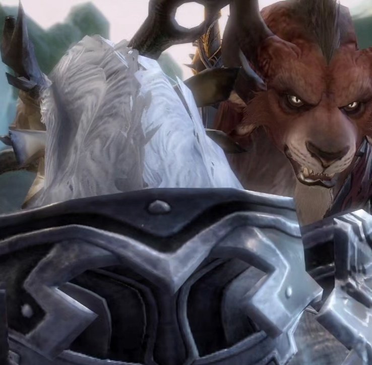 Nightwy_Morgan's tweet image. No me esperaba para nada que fueran tan crueles con #Almorra... #Bangar y #Ryland se han pasado tres pueblos 😖

#GuildWars2 #GW2 #ArenaNet #Screenshots #MundoViviente5 #SangrwYHielo #Charr