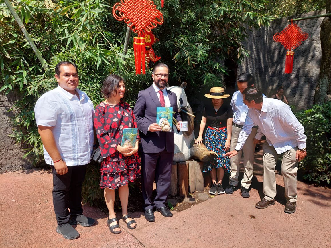 MarDuVill's tweet image. Hoy participé en la celebración del 33er Aniversario de la 🐼 gigante Xin Xin en el #ZoológicoDeChapultepec, con @FernandoGual y el Excmo. @EmbZhangRun (@EmbChinaMex), de la R. P. de 🇨🇳, cuyos lazos con 🇲🇽 son muy profundos.

Además, se presentó el libro “El gran regalo del…