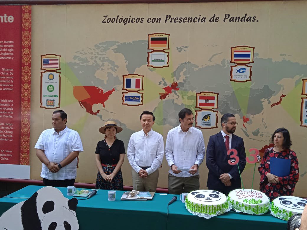 MarDuVill's tweet image. Hoy participé en la celebración del 33er Aniversario de la 🐼 gigante Xin Xin en el #ZoológicoDeChapultepec, con @FernandoGual y el Excmo. @EmbZhangRun (@EmbChinaMex), de la R. P. de 🇨🇳, cuyos lazos con 🇲🇽 son muy profundos.

Además, se presentó el libro “El gran regalo del…