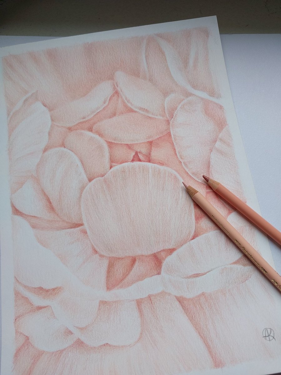 Art process 🌸🌸🌸

#coloredpencils #art #artforsale #handdrawn #BotanicalArt #illustration #artwork #nft #NFTartist #nftart