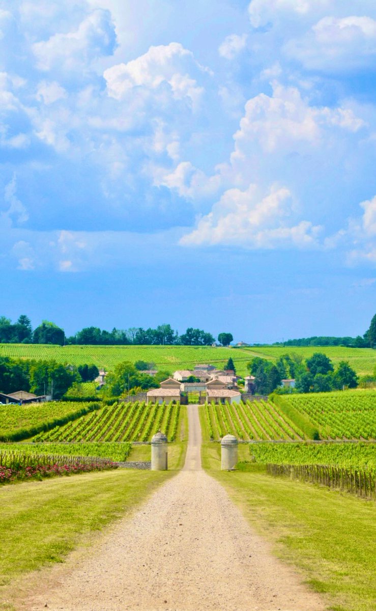 emgeorget's tweet photo. Silence, ça pousse! 🍇
Château Saint-Georges &amp; Château Côte de Baleau, Saint-Émilion, Printemps 2023 https://t.co/RyKzlODm7Y