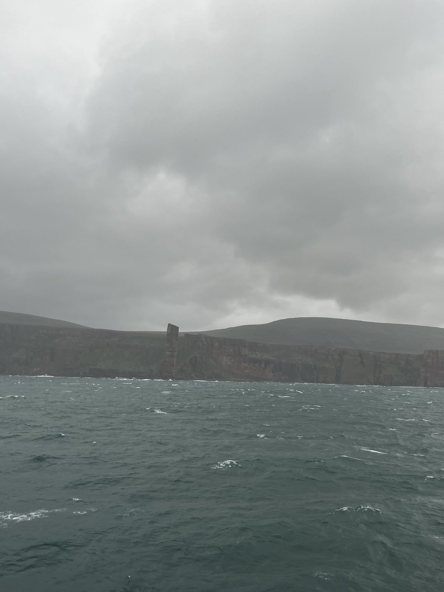 katie hardie tweet media