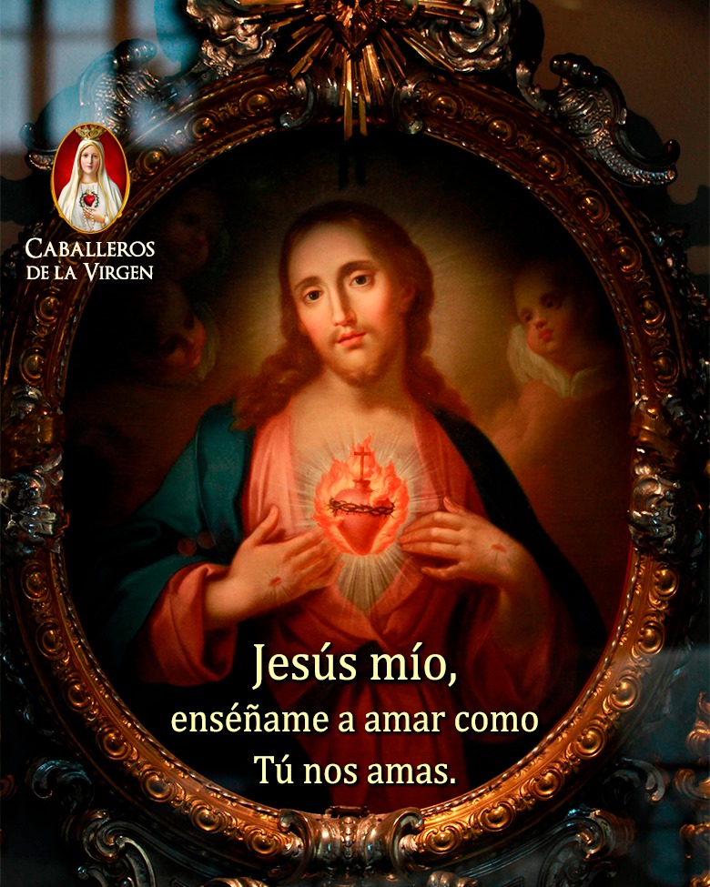 Corazón de Jesús, de bondad infinita, abre mi espíritu a la dulce acción de tu gracia.