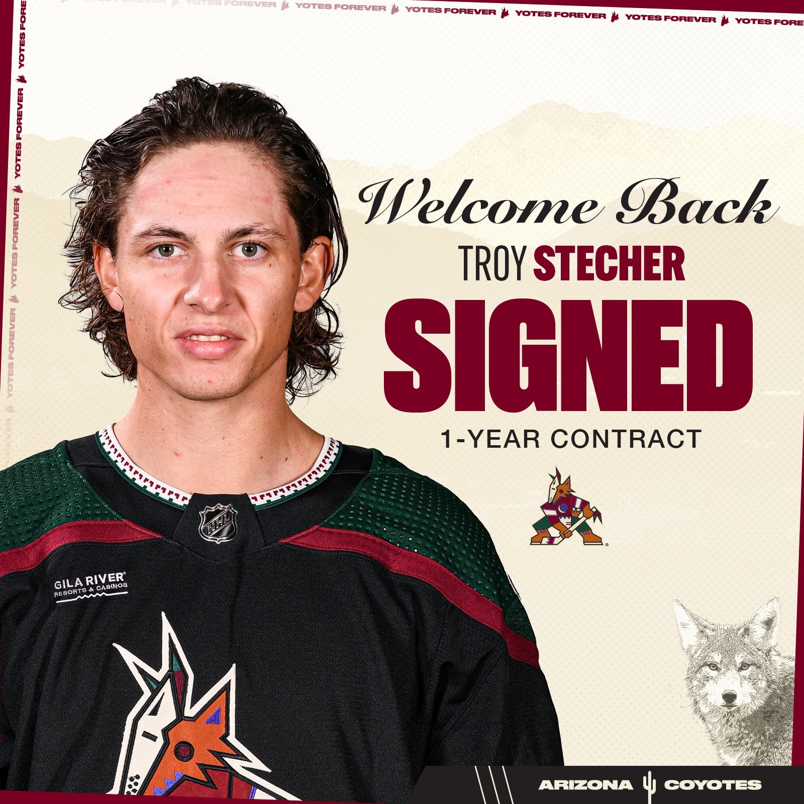 Arizona Coyotes on Twitter: "The Arizona Coyotes have signed defenceman
