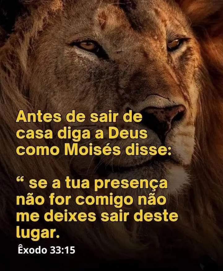 EleitoporDeus's tweet photo. https://t.co/NUamG3cN8i