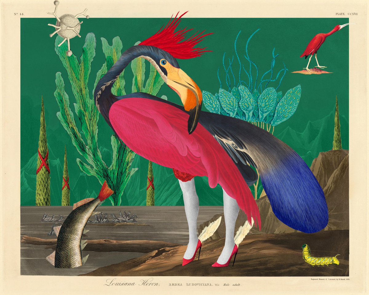 Birds of Sōlis — Migrating to ETH ☀️ tweet media
