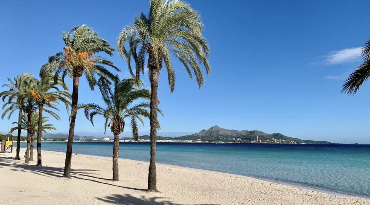 🏝️🤟#windsurf