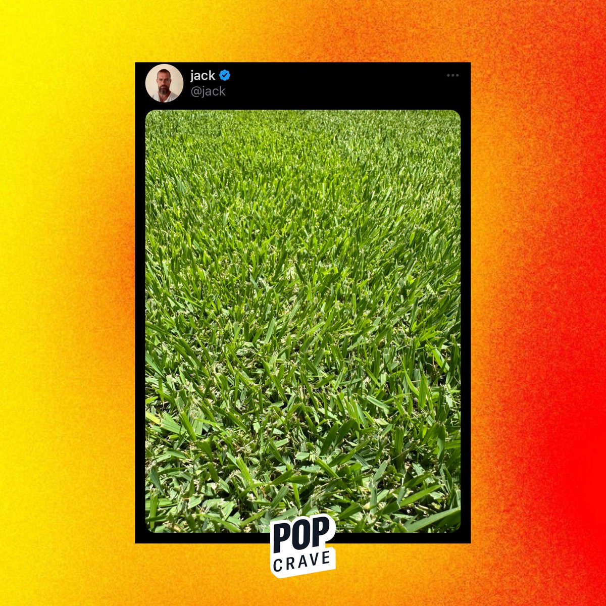 Former Twitter CEO Jack Dorsey touches grass amid ongoing issues with the platform.