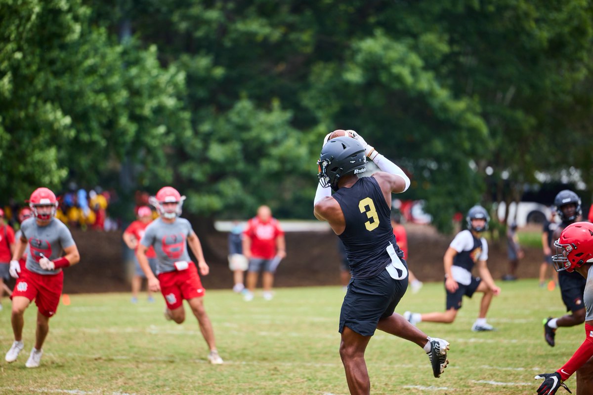 Hebron Lions Football tweet media