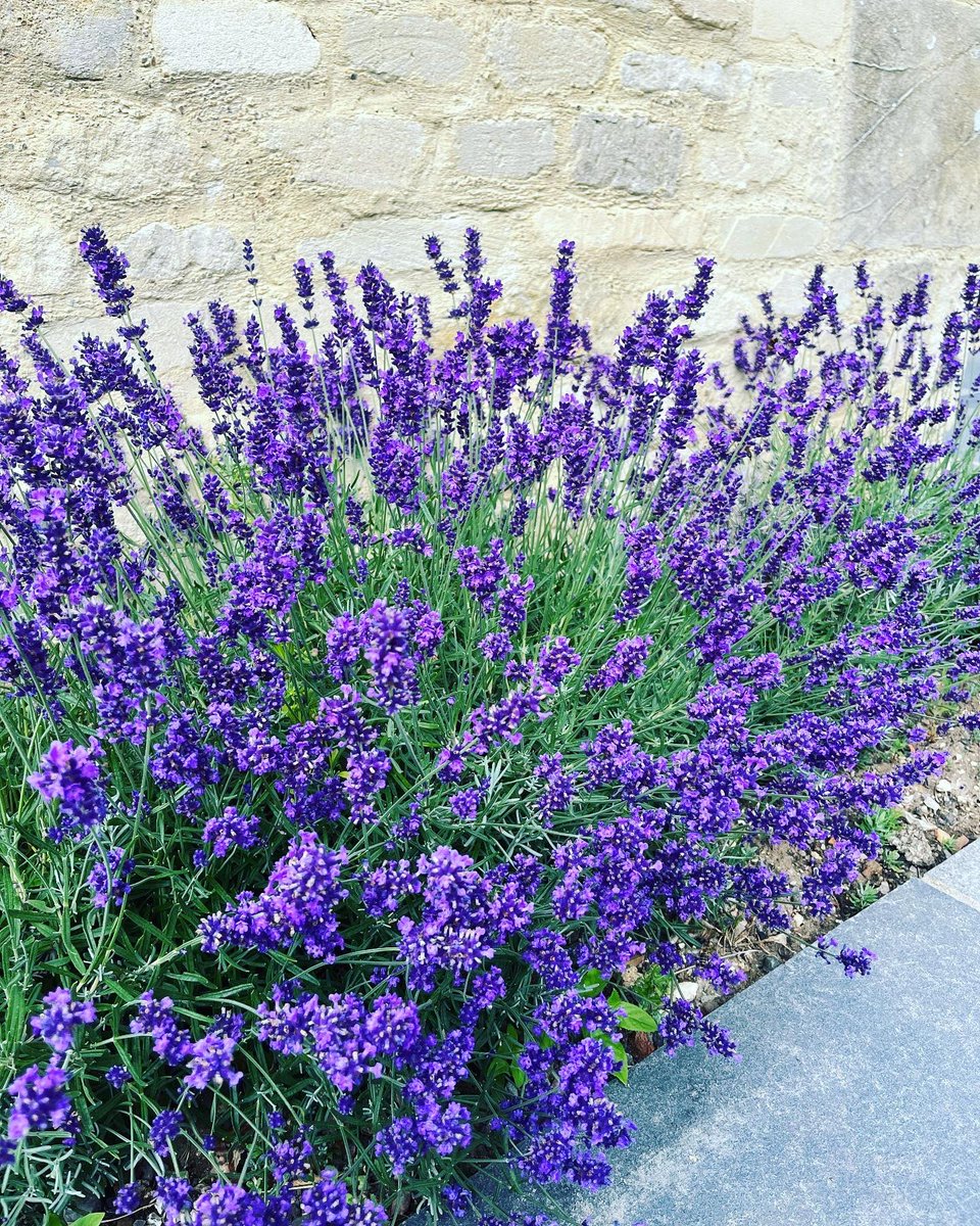 KEHaddrell's tweet image. #pimmsoclock #family #togetheragain