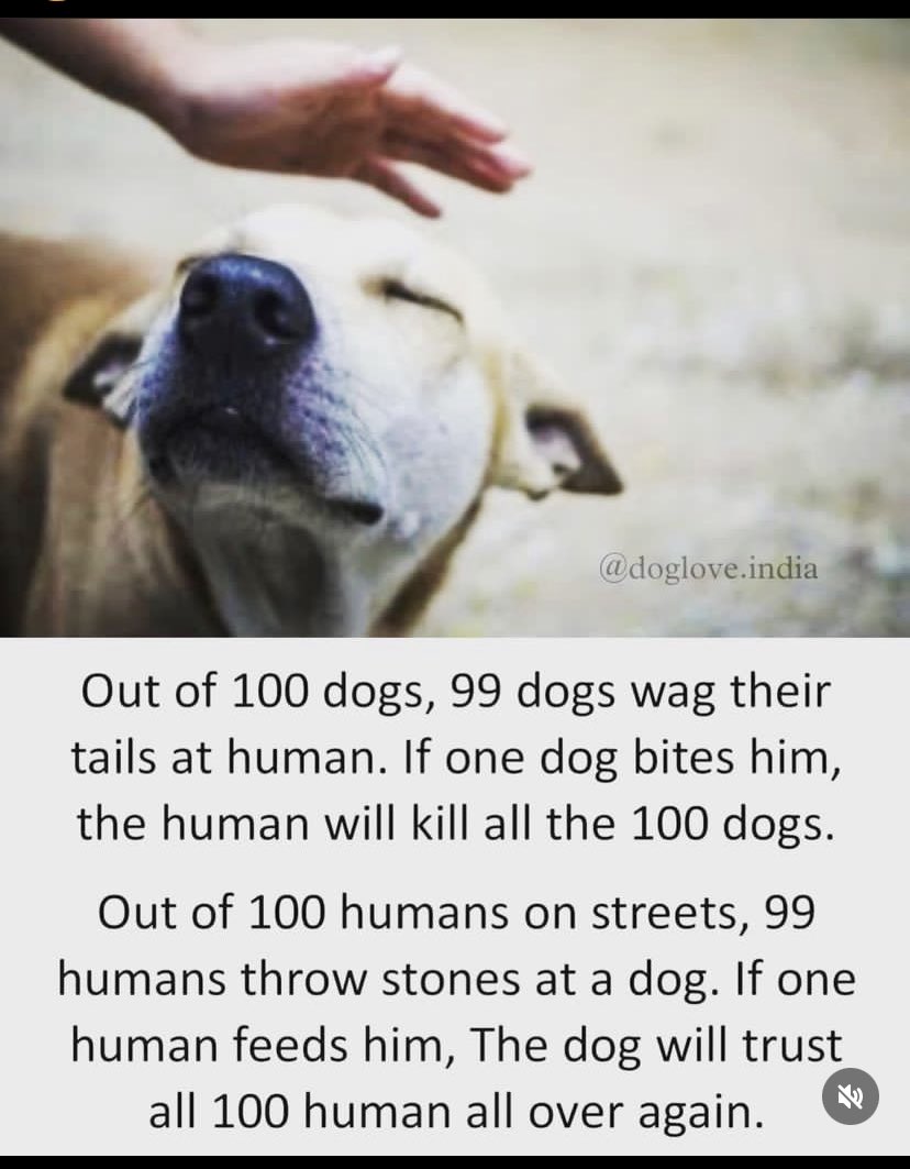 ameetgsingh's tweet photo. human’s overreact to everything. 

3 nuclear incident’s 
Chernobyl 
3 mile island &amp; 
Fukushima 
Killed modern nuclear energy. 
Coal has taken millions more lives. 
Few terrorists made flights, malls &amp; public places high security zones. 

Few aggressive dogs = cull them all. https://t.co/3ADaO97yCM
