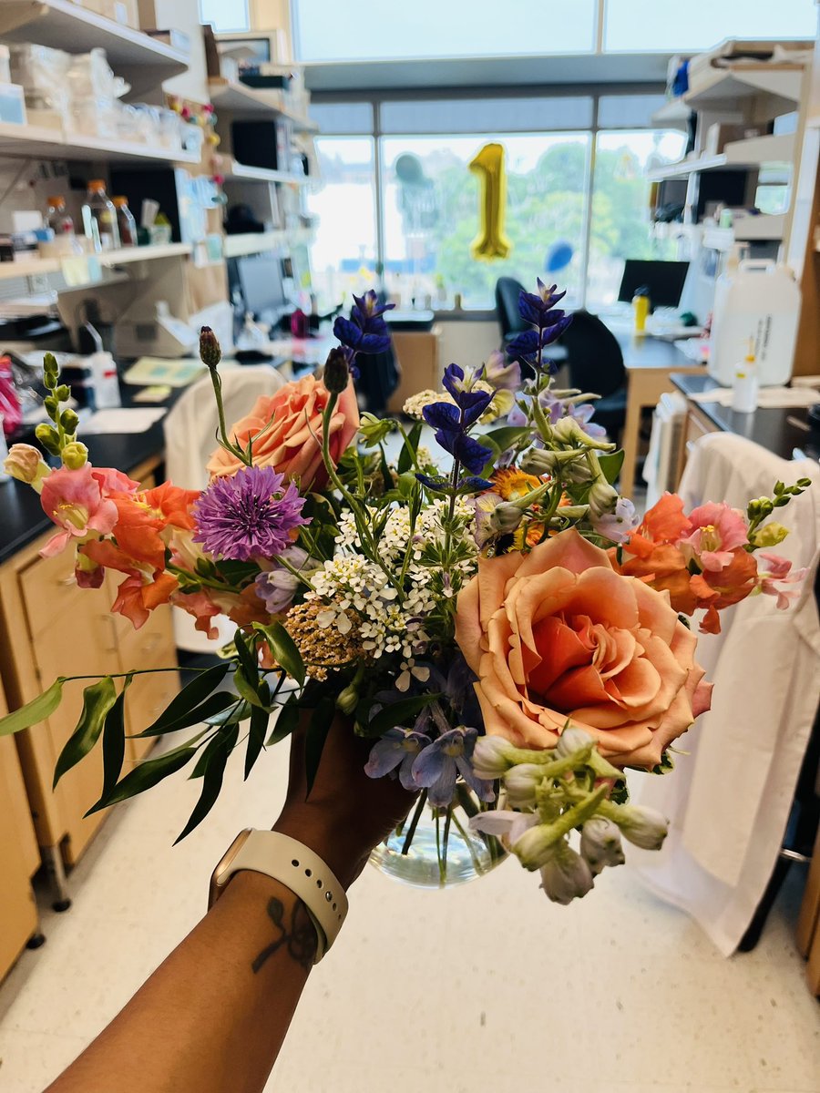 The Spriggs Lab tweet media