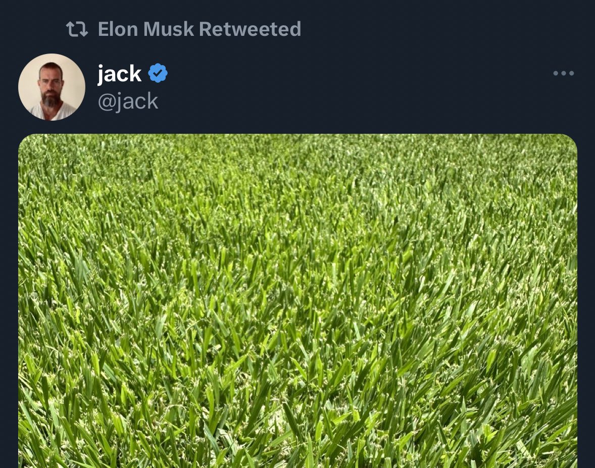 Jack Dorsey who helped recruit and make sure Musk takes Twitter, mocking Twitter users to touch grass rather than protest the destruction of what had been a public square. Billionaires gonna billionaire.