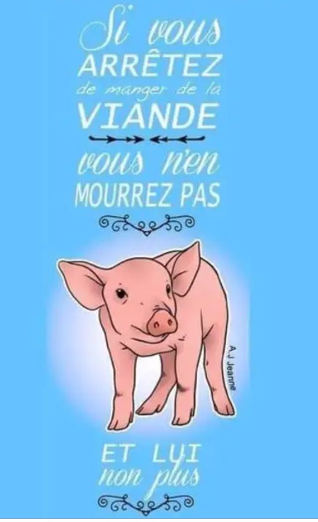 Et c’est aussi bon pour la planète 🌍 et votre santé ! 
🐷🐮🐥🐔🐂🐄🐖🐓🐇
#climat #animaux #santé #environnement #souffranceanimale #deforestation #veganisme #vegetarisme #vegetalisme