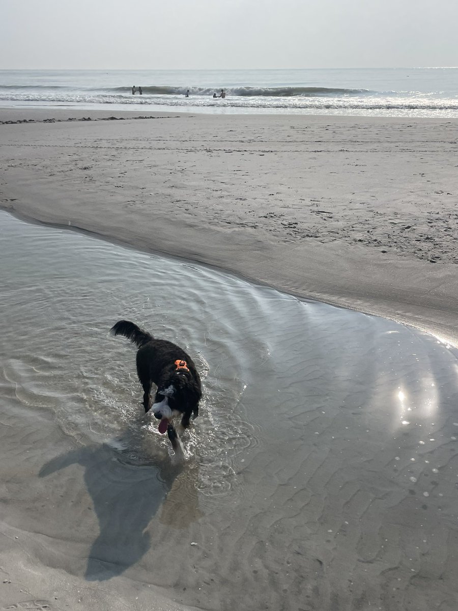 Mark D. Berman (@mediasharecg) on Twitter photo 