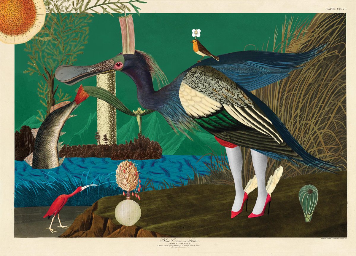 MindlessC 🧋 tweet media