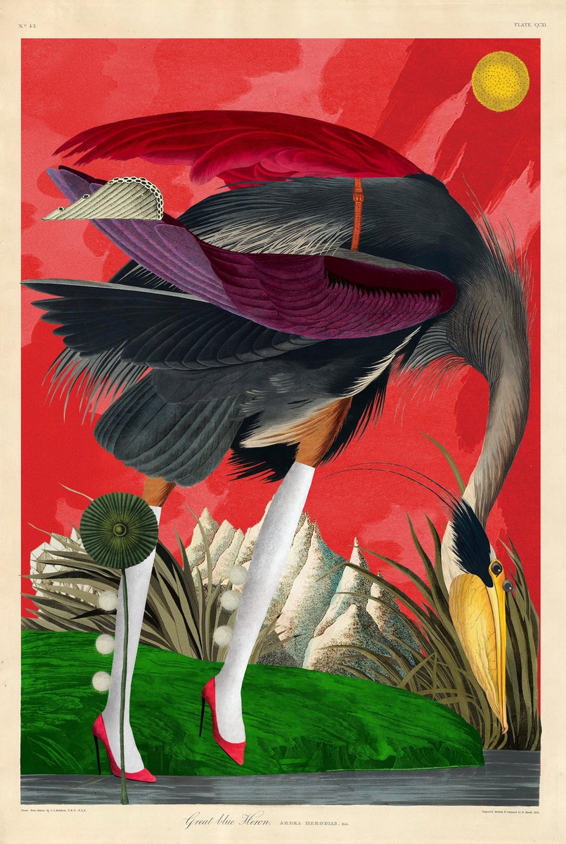 MindlessC 🧋 tweet media