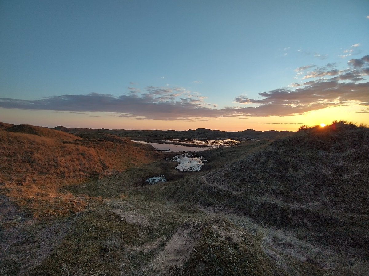 Neil Forbes tweet media