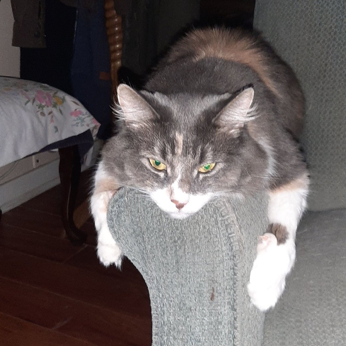 Matthew Ruggles tweet media