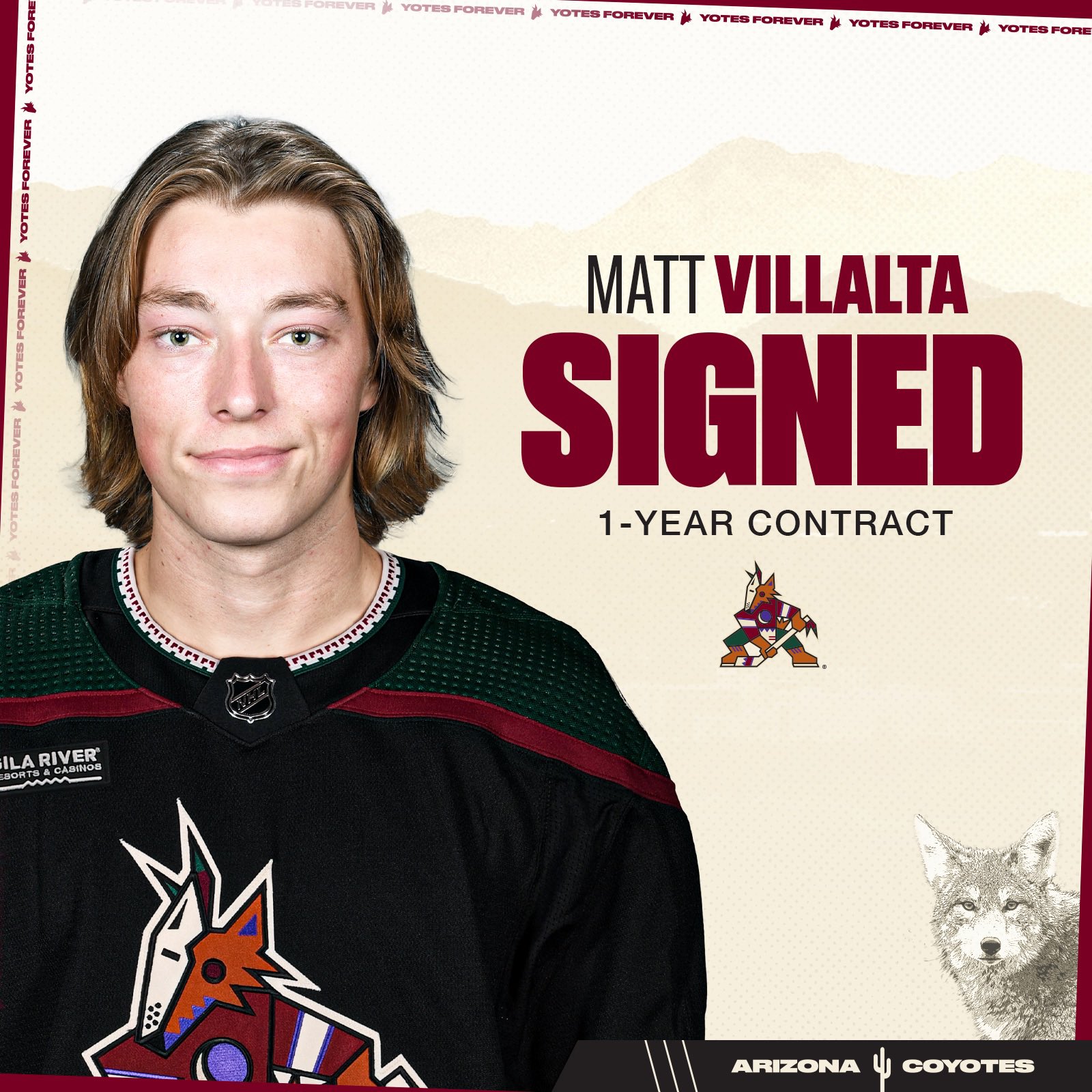 Arizona Coyotes on Twitter: "The Arizona Coyotes have signed goaltender