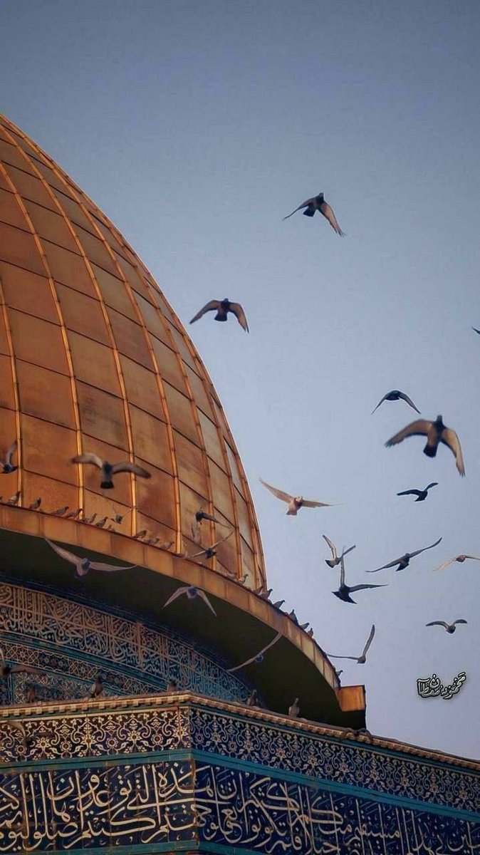 "Allah'ım sen varsın, ben yalnız değilim.."