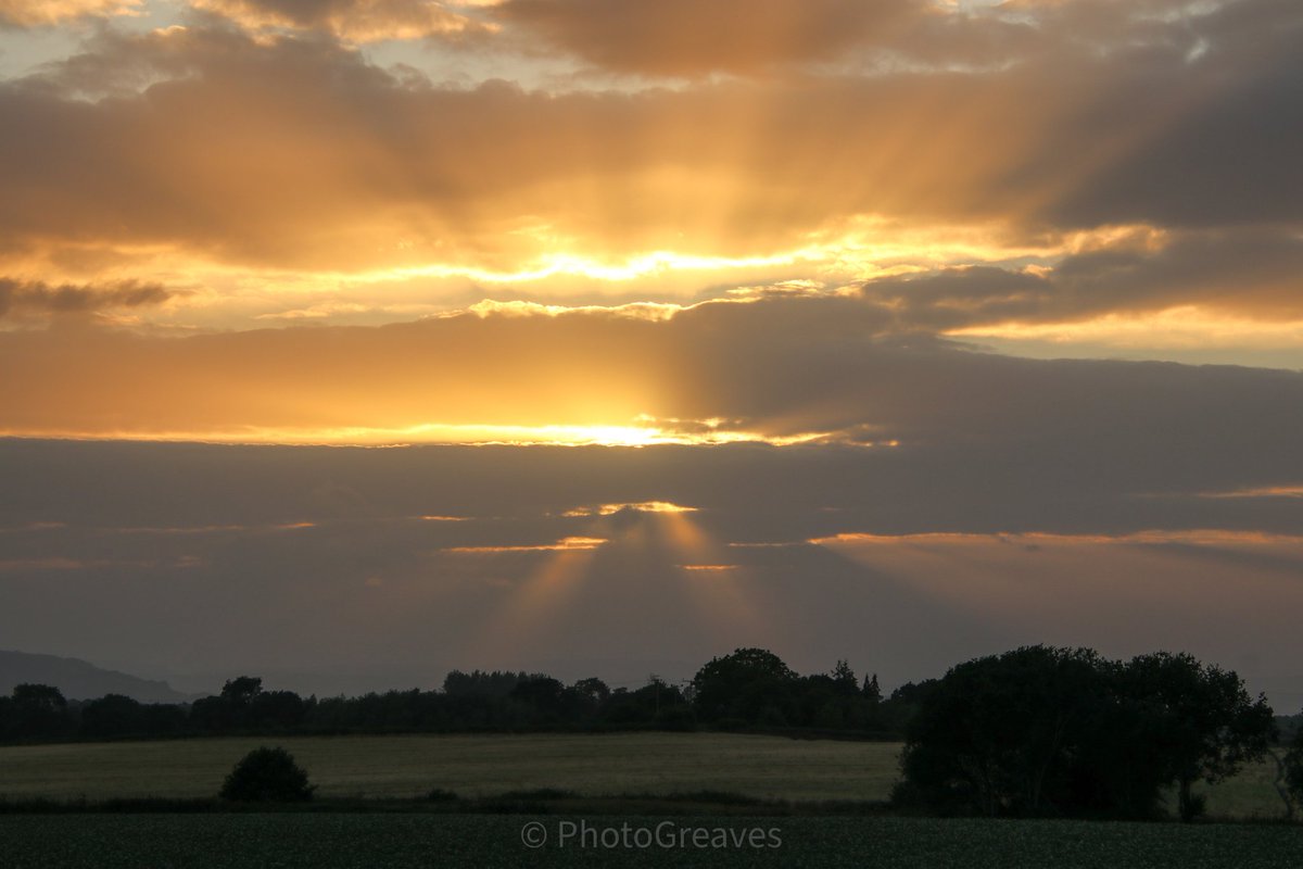 Ella_Mentry_ tweet media