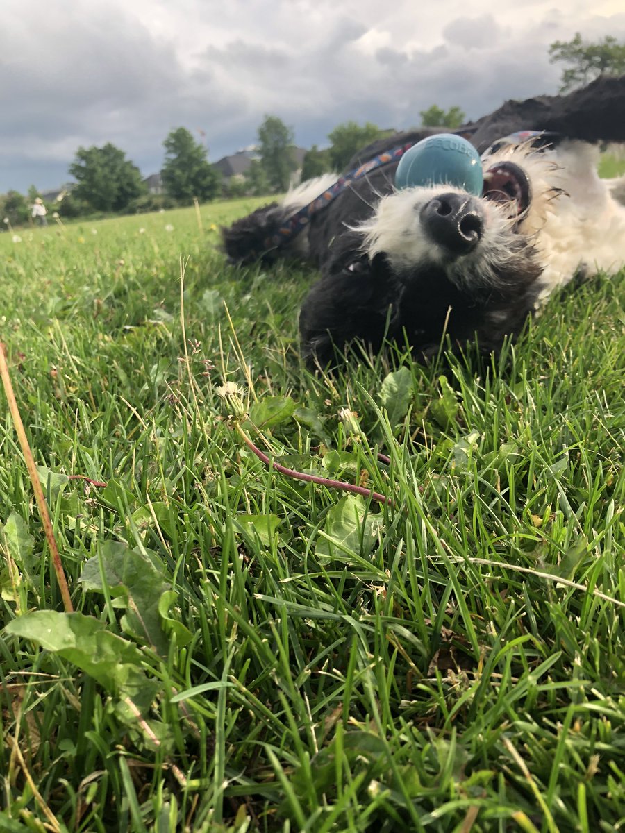 I’m living my best life friends! I have missed you all. I am just enjoying my summer and the sunshine. ☀️