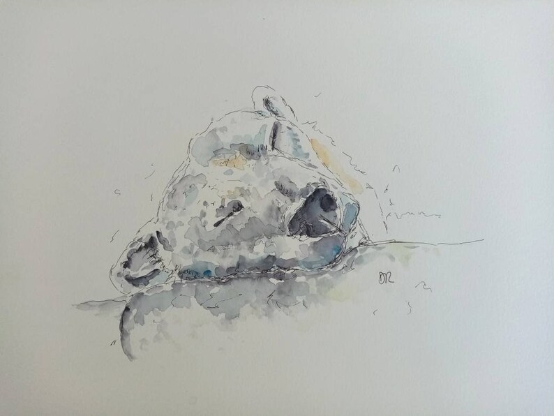 A predator at peace, as only they can be. Original watercolour. A3 size. £25. #polarbear #art #animalart etsy.com/uk/listing/973…