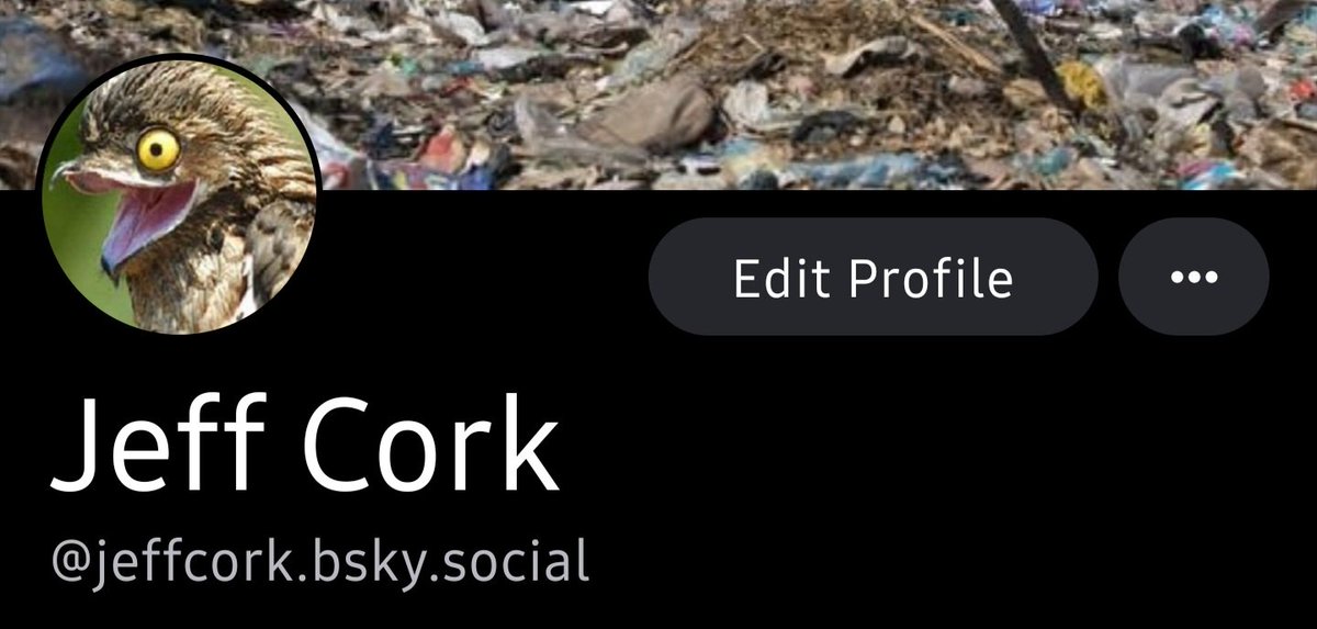 Jeff Cork tweet media