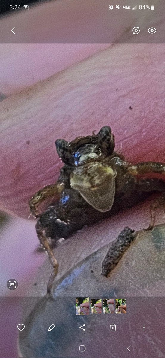 Jeff Heilveil tweet media