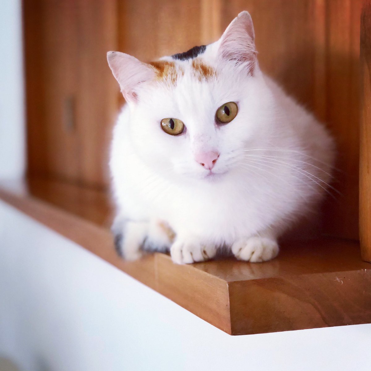 Sarah Knight tweet media