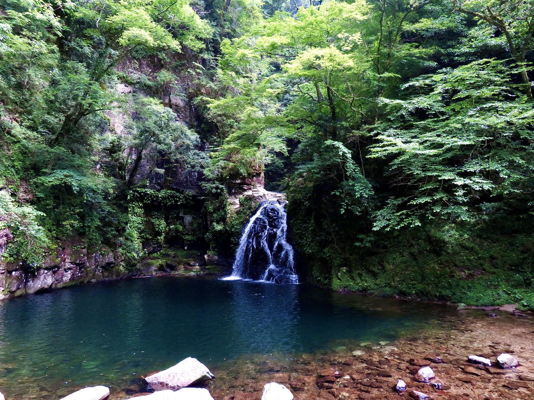 ☆セイジ☆ on Twitter 