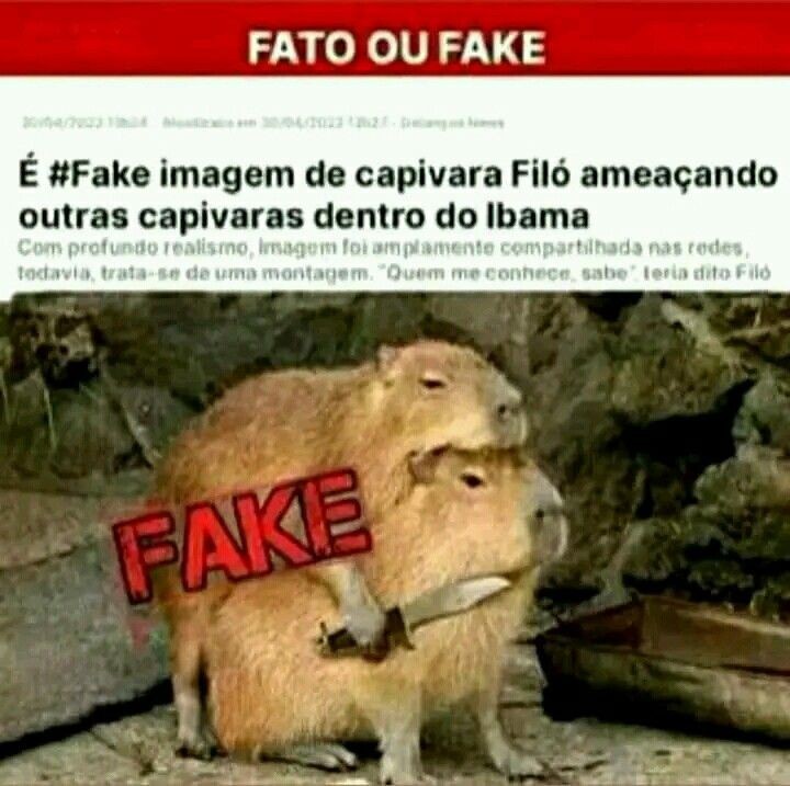 pérolas de notícias brasileiras tweet media