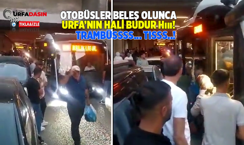urfadasin's tweet image. Trambüs Arızalanıp Yolda Kaldı urfadasin.com/trambus-arizal… #Urfa #sanliurfa #trambus