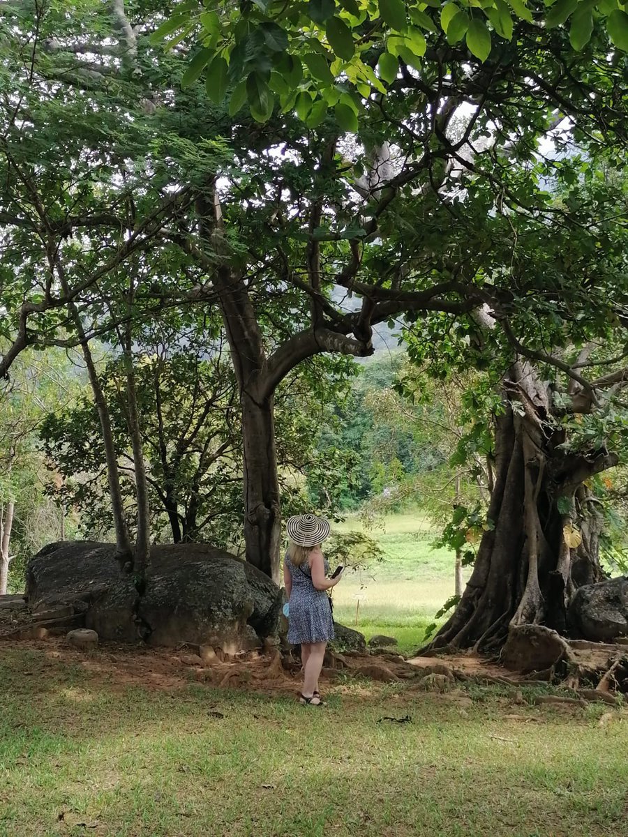 solimperialaca's tweet photo. Uncover the ancient wonders of Guerrero with #quintosolimperial Tours! 🌞 Join us on an exclusive excursion to Tehuacalco, where history comes alive! ⛰️ Don't miss out on this incredible adventure! #QuintoSolImperialTours #Guerrero #Tehuacalco #HistoryAlive #UnforgettableJourney https://t.co/KSzh2BBNxH