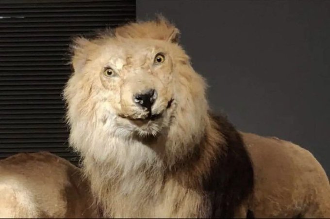 I guess the &ldquo;likes sections don&rsquo;t count towards the total&rdquo; works for myself, too. This is ridiculous