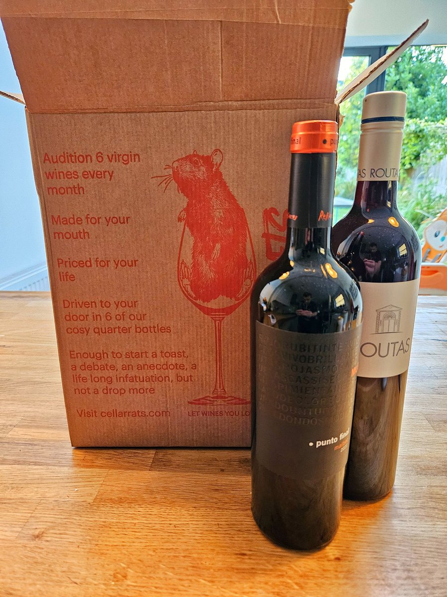 Cellar Rats tweet media