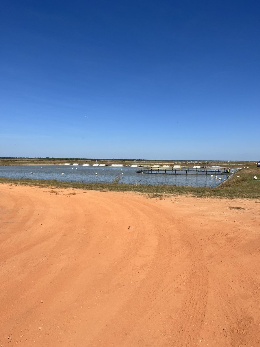 geojase's tweet photo. NT soils and their management https://t.co/yCbCcepE2E