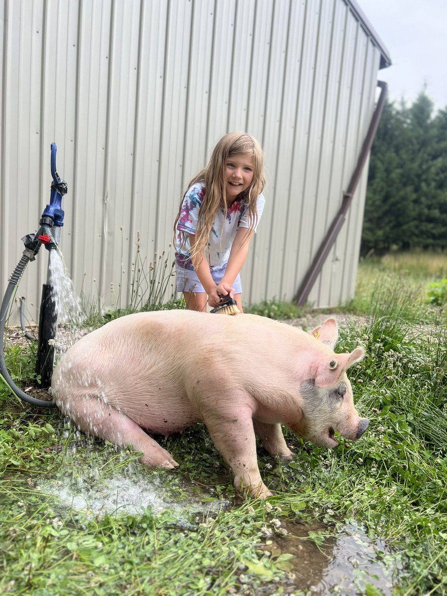 Nick Damico, Ed.D. tweet media