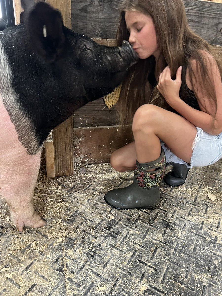 Nick Damico, Ed.D. tweet media