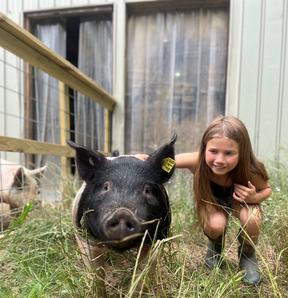 Nick Damico, Ed.D. tweet media