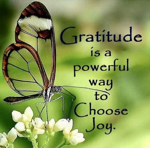 #Gratitude brings #JOY! #JoyTrain #Love #Mindset #MentalHealth #Mindfulness #Quote #IQRTG #Blessed #ThursdayMorning #ThursdayThoughts #ThursdayMotivation #ThankfulThursday RT @1madwoman1962